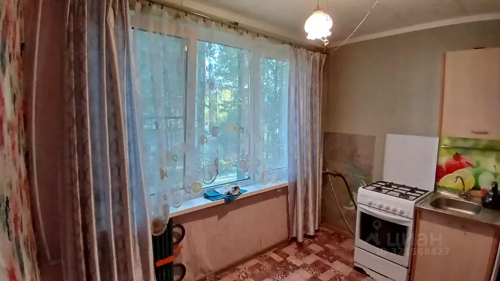 1-к кв. Ленинградская область, Тихвин 4-й мкр, 37 (29.0 м) - Фото 1