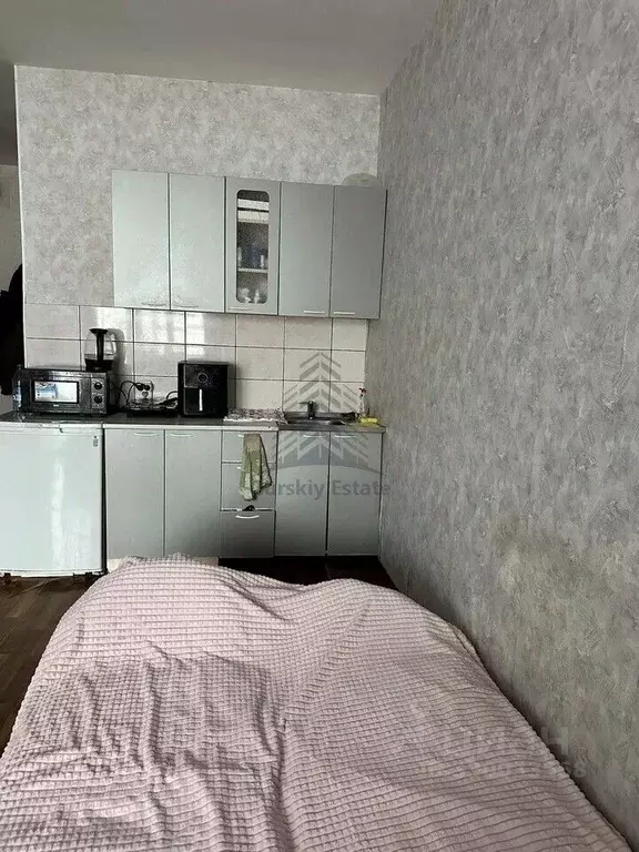 Студия Красноярский край, Красноярск ул. Борисова, 42 (24.0 м) - Фото 2