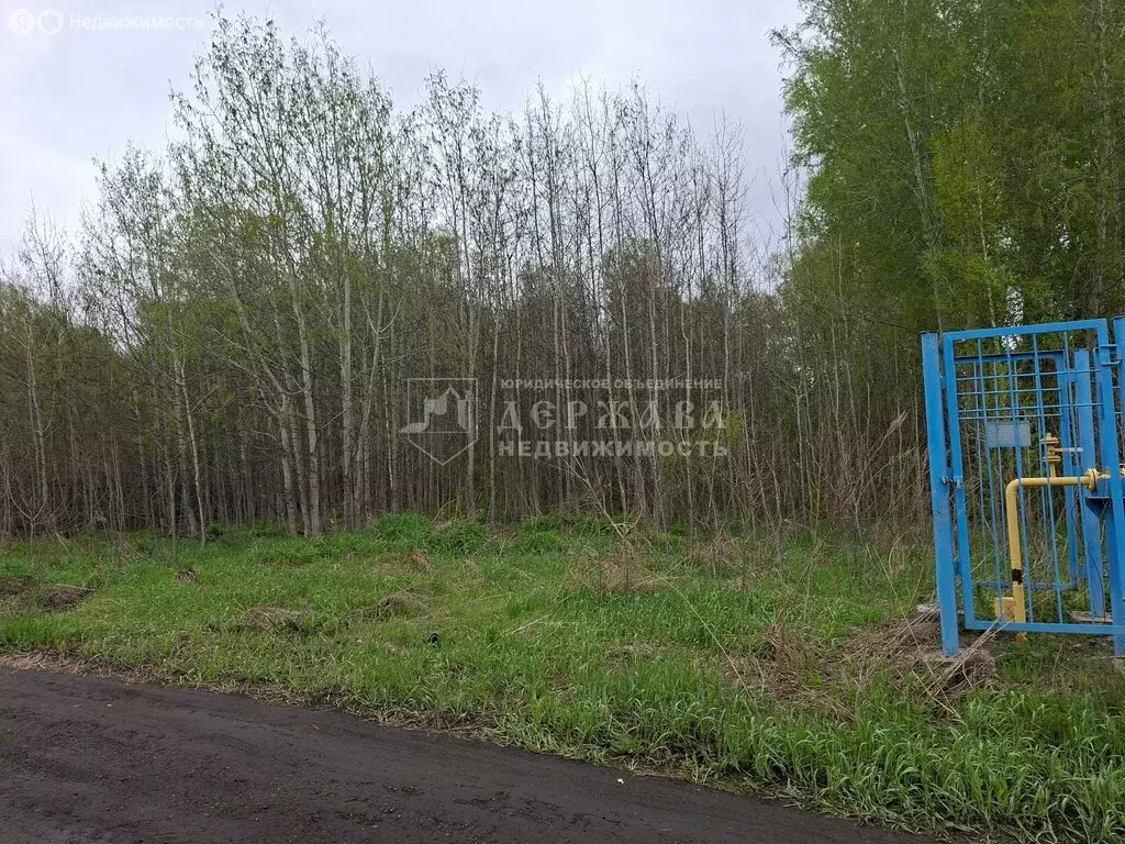 Участок в село Берёзово, Солнечная улица (15 м) - Фото 2