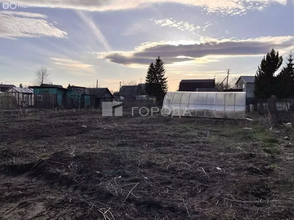 Участок в Новосибирск, садовое товарищество Рассвет (6.7 м) - Фото 0