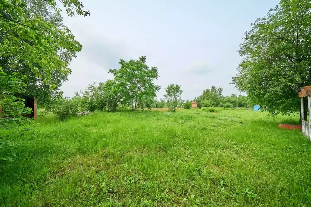 Участок в Хабаровский край, Хабаровск Содружество СНТ, ул. Калиновая ... - Фото 2