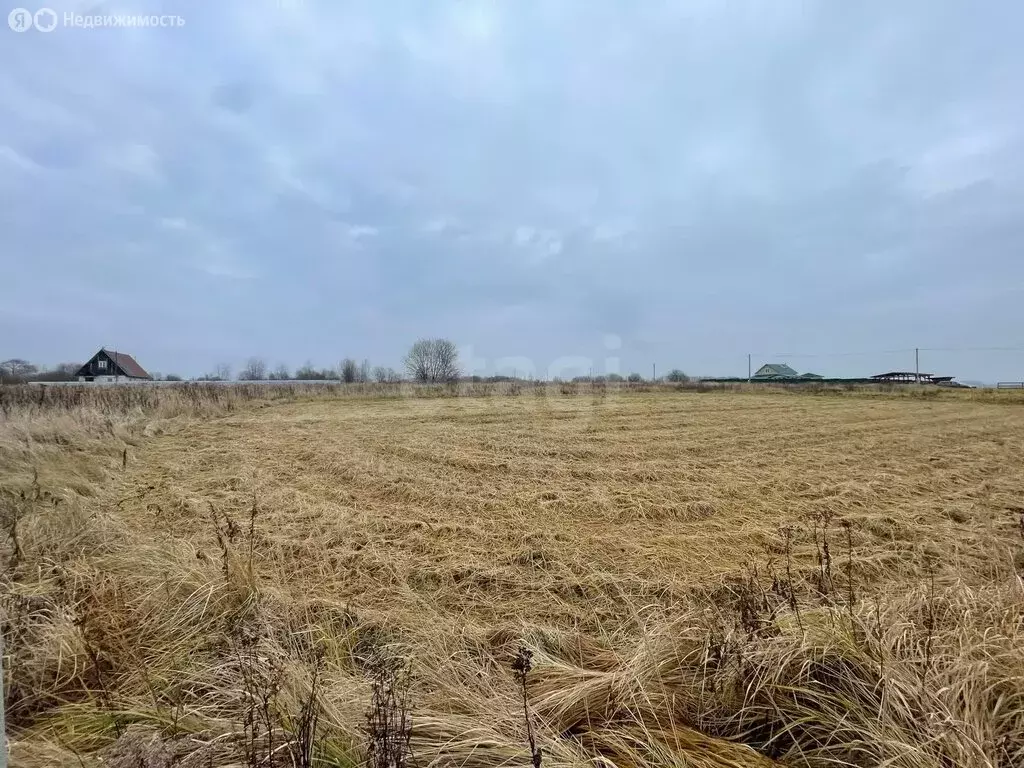 Участок в Дубенский район, Полевая улица (16.8 м) - Фото 2