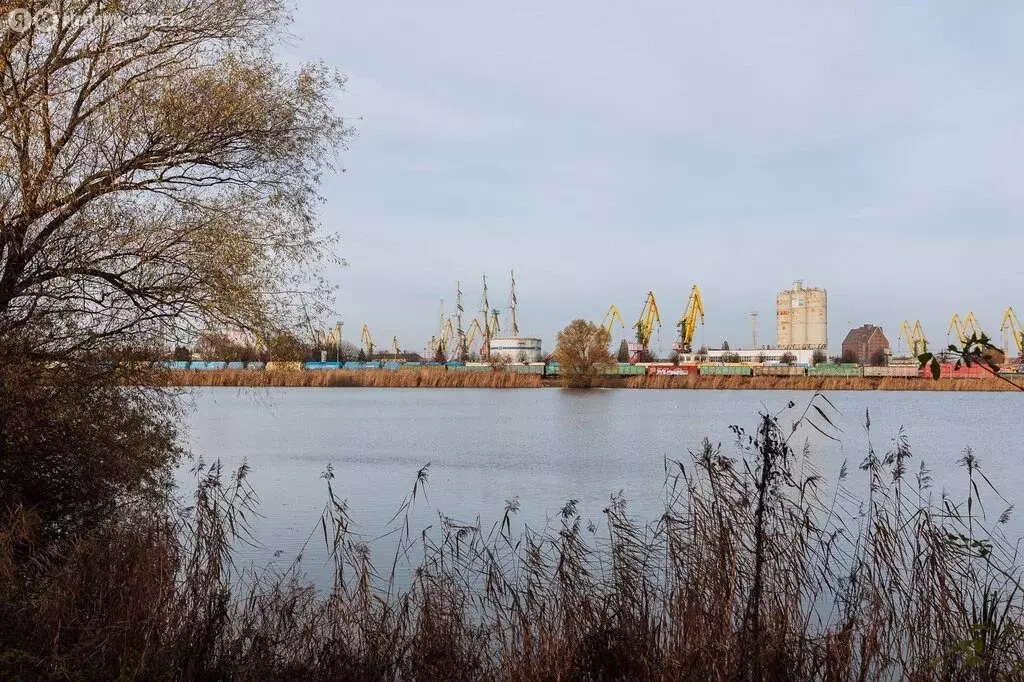 Квартира-студия: Калининград, улица Нансена, 74А (13 м) - Фото 1