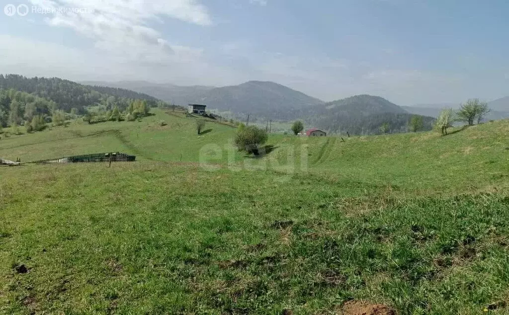 Участок в Майминский район, село Кызыл-Озек (94 м) - Фото 0