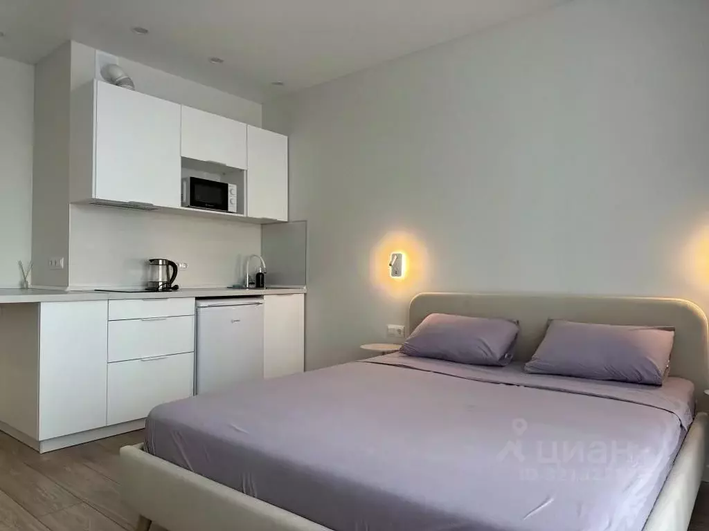 1-к кв. Татарстан, Казань ул. Родины, 26А (30.0 м) - Фото 1