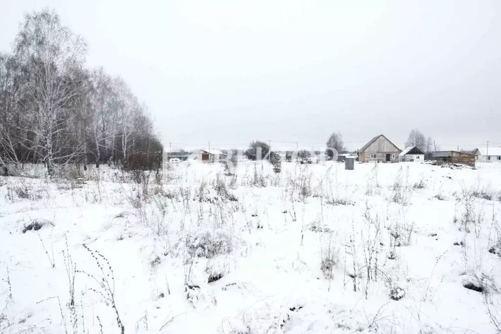 Участок в Ивановская область, Кинешемский район, Решемское с/пос, д. ... - Фото 0