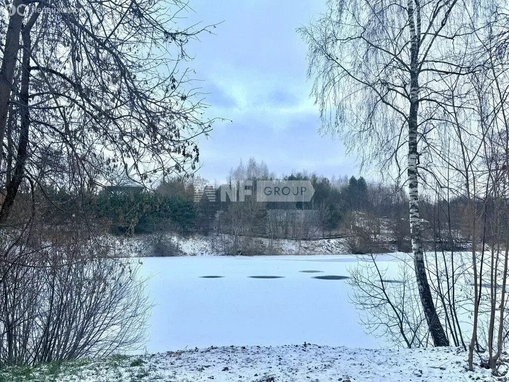 Участок в Одинцовский городской округ, деревня Подушкино (34 м) - Фото 1