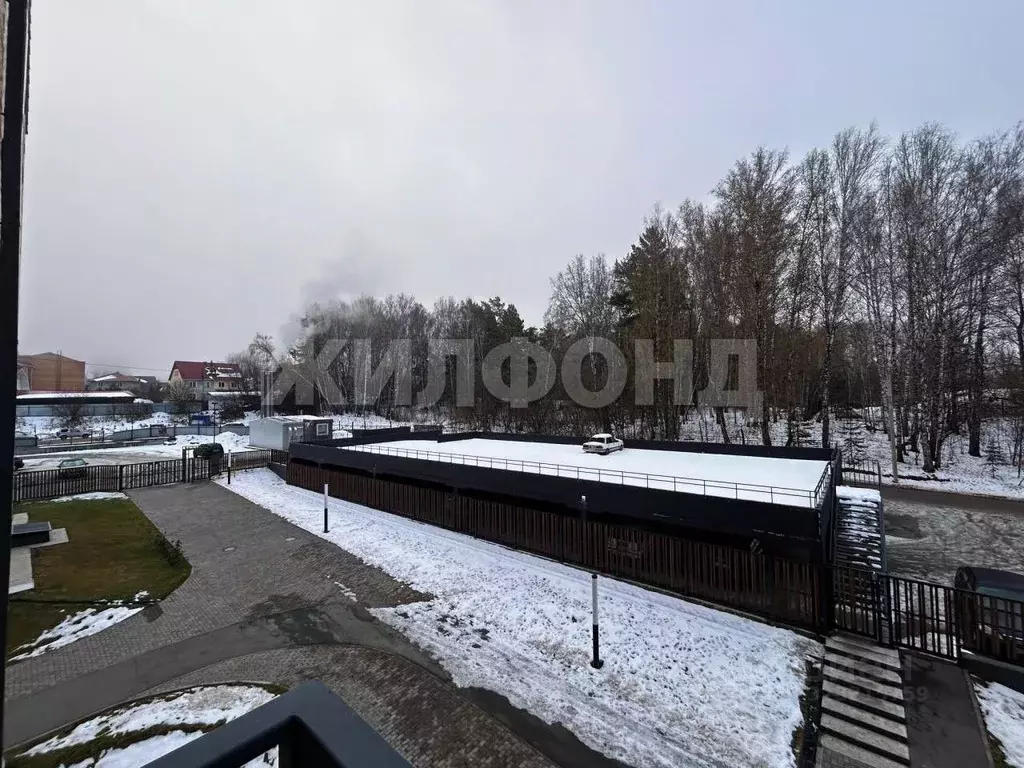 1-к кв. Новосибирская область, Новосибирский район, Барышевский ... - Фото 2