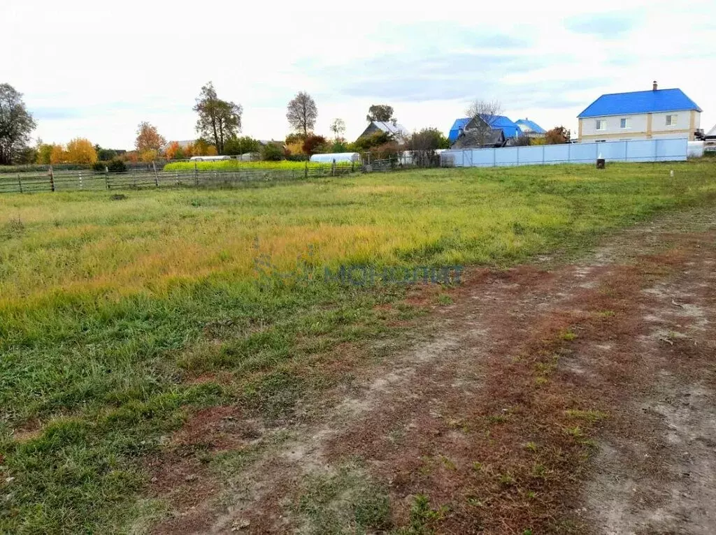 Участок в Медведевский район, Сидоровское сельское поселение, деревня ... - Фото 1