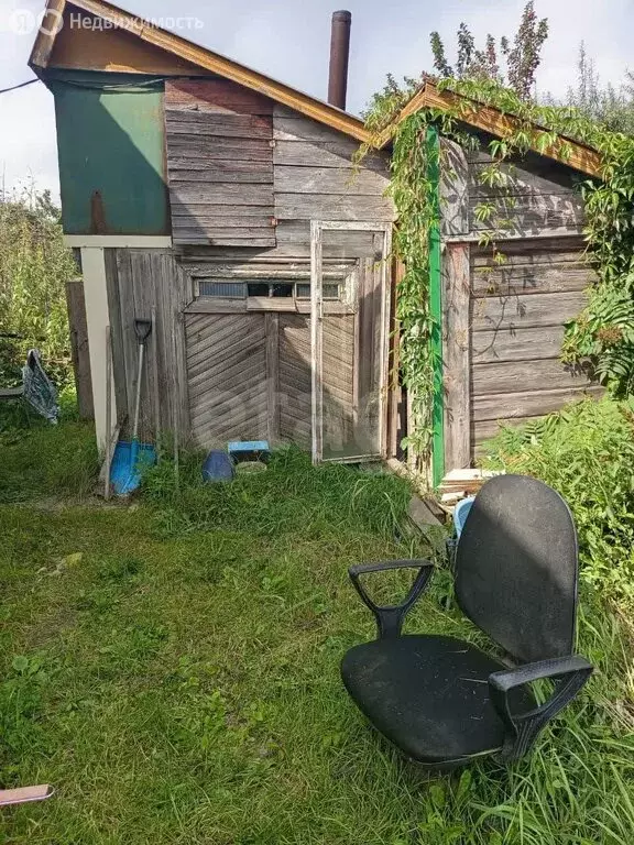 Дом в Курган, СНТ Золотая Нива (50 м) - Фото 1