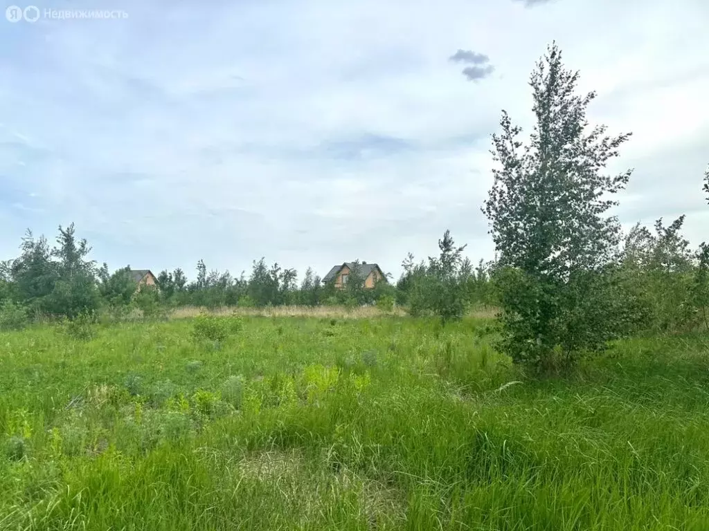 Участок в Медвенский район, Панинский сельсовет (10 м) - Фото 0