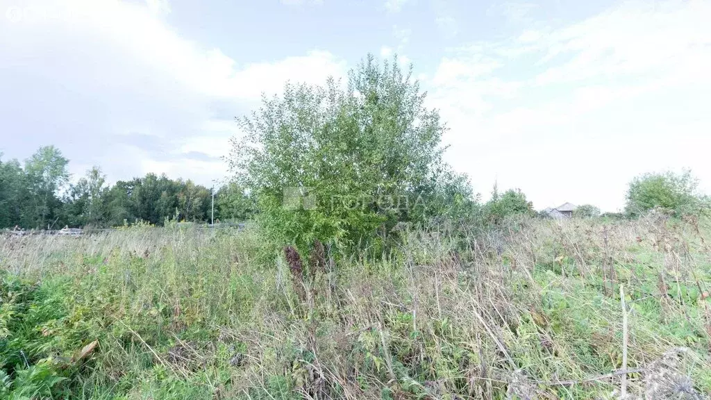 Участок в Томский район, деревня Козюлино (15.74 м) - Фото 2