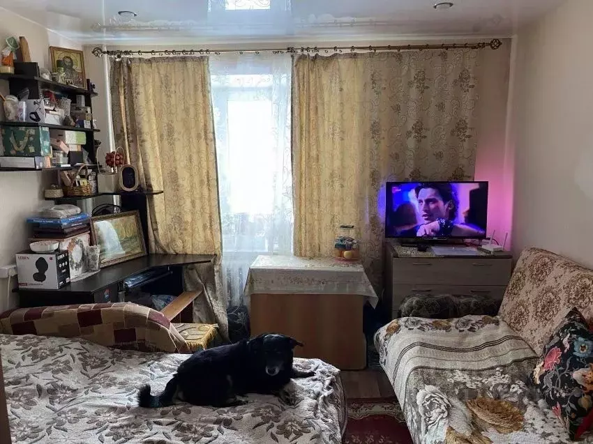 Комната Курганская область, Курган ул. Бажова, 138 (19.0 м) - Фото 1