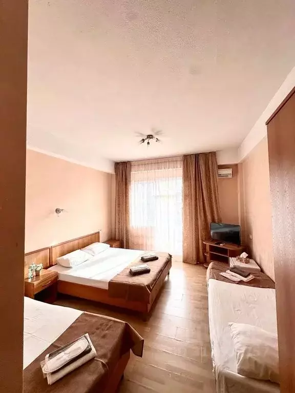 Комната Краснодарский край, Сочи ул. Декабристов, 6А - Фото 1