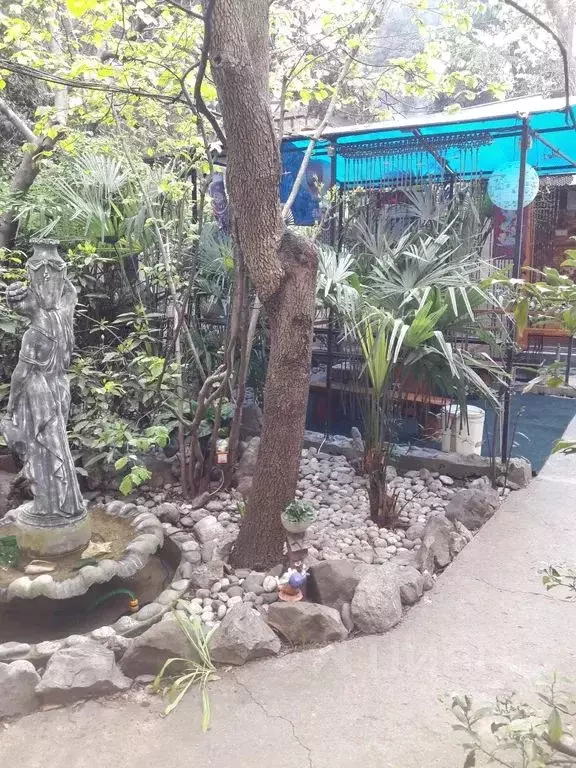 Дом в Крым, Ялта ул. Ломоносова, 7 (40 м) - Фото 2