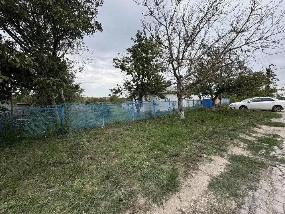 Участок в Краснодарский край, Анапа муниципальный округ, Иванов хут. ... - Фото 1