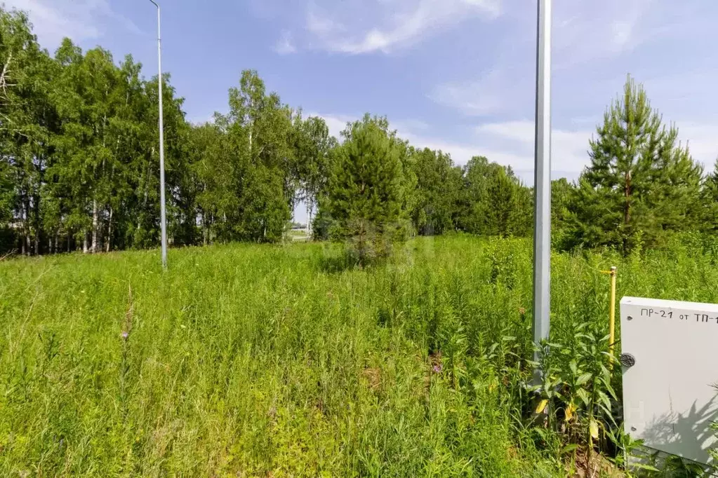 Участок в Тюменская область, Тюменский муниципальный округ, ... - Фото 0