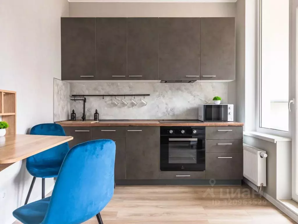 1-к кв. Санкт-Петербург пос. Шушары, ул. Нины Петровой, 6к1 (25.0 м) - Фото 0