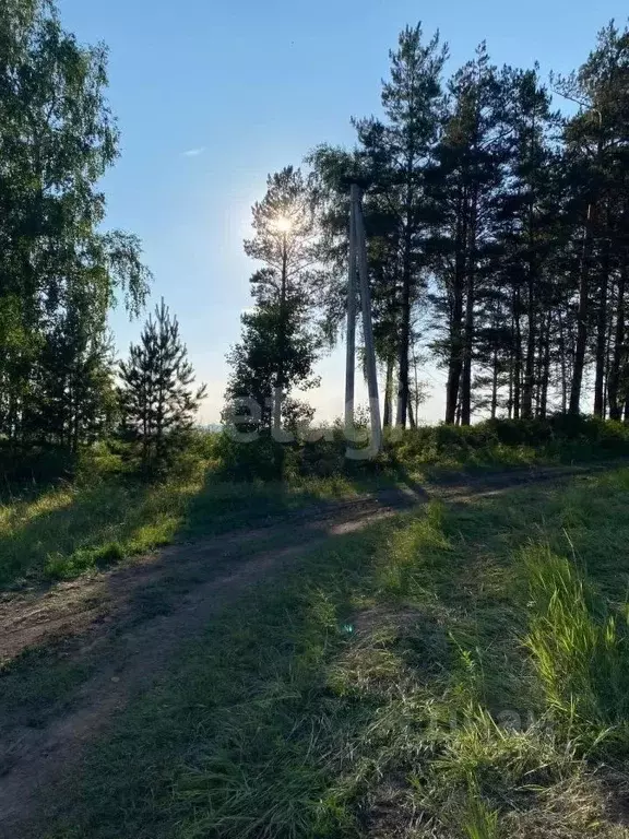 Участок в Кемеровская область, Кемеровский район, Надежда СНТ  (15.0 ... - Фото 0