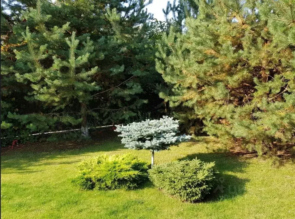 Дом в Москва Первомайское поселение, д. Фоминское, Согласие-1 кп,  ... - Фото 2