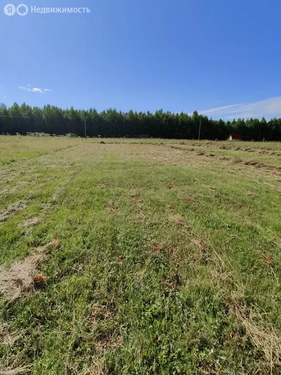 Участок в Республика Коми, муниципальный район Корткеросский, ... - Фото 1