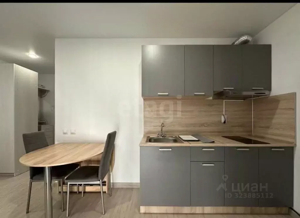 Студия Тюменская область, Тюменский муниципальный округ, д. Патрушева ... - Фото 1