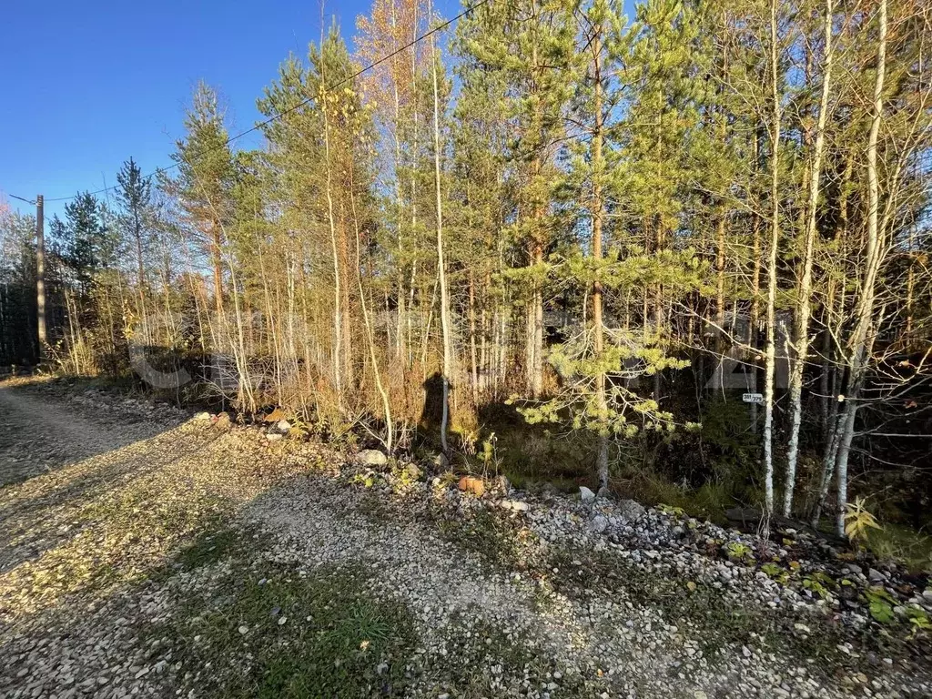 Участок в Ленинградская область, Ломоносовский район, Ропшинское ... - Фото 2