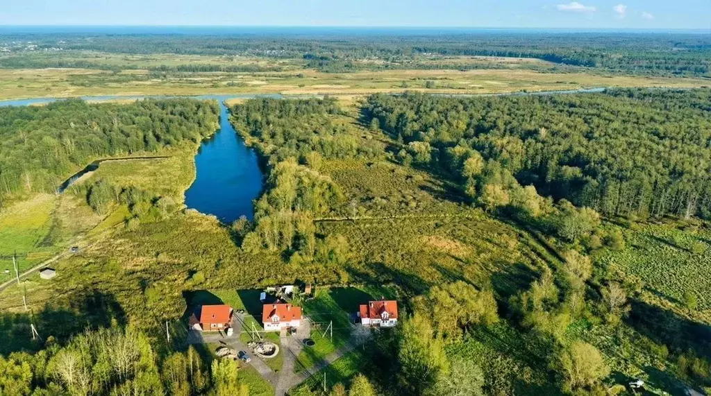 Участок в Калининградская область, Полесск пос. Загородный,  (1.0 га.) - Фото 2