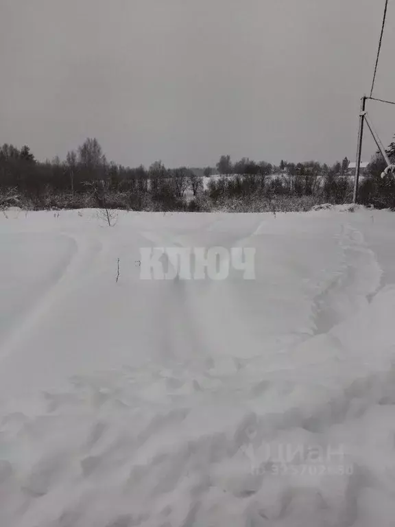 Участок в Вологодская область, Усть-Кубинский муниципальный округ, д. ... - Фото 2