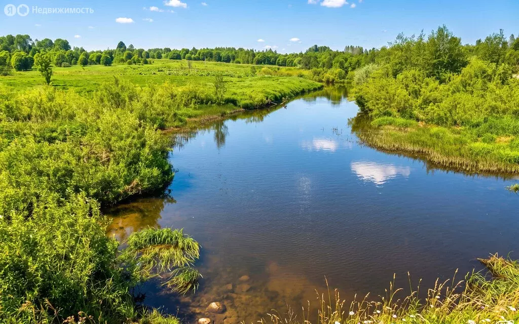 Участок в Московская область, городской округ Клин, ДНП Коськово, 55 ... - Фото 1
