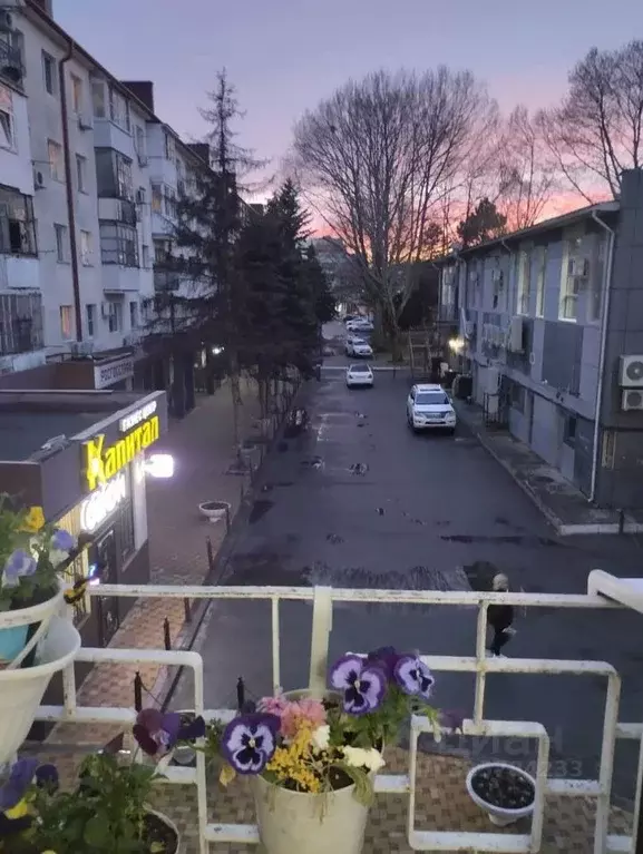 Студия Краснодарский край, Анапа Крымская ул., 218 (20.0 м) - Фото 1