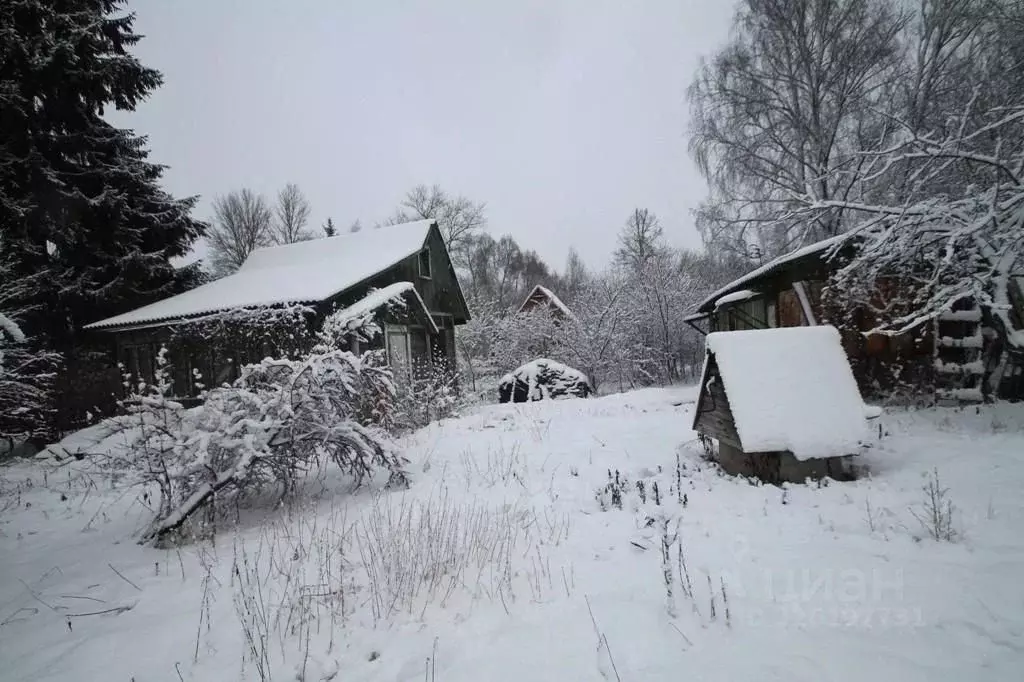 Участок в Москва Брехово хут., Мирный СНТ,  (8.2 сот.) - Фото 2