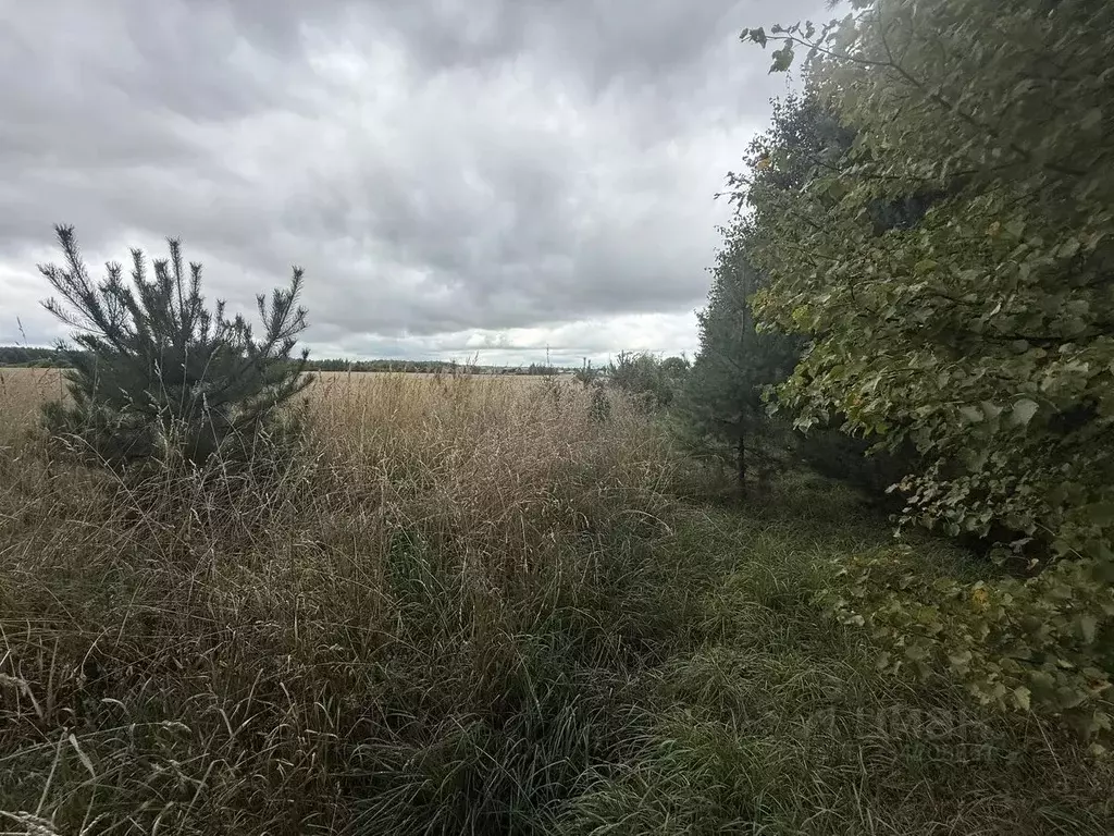 Участок в Московская область, Подольск городской округ, д. Лопаткино  ... - Фото 1