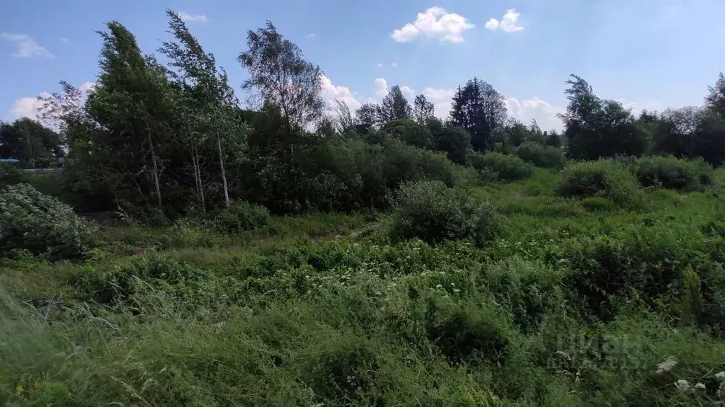 Участок в Ленинградская область, Сертолово Всеволожский район, Черная ... - Фото 1