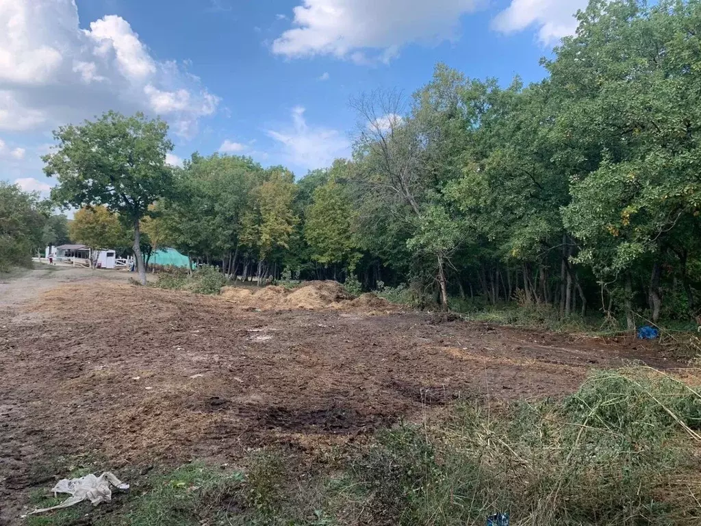 Участок в Краснодарский край, Новороссийск городской округ, ... - Фото 1