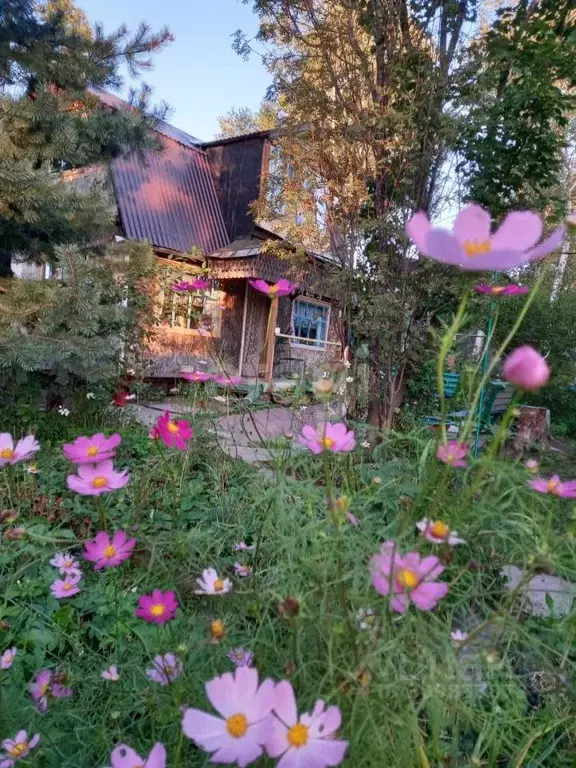 Дом в Сахалинская область, Южно-Сахалинск Овощевод СНТ,  (75 м) - Фото 0