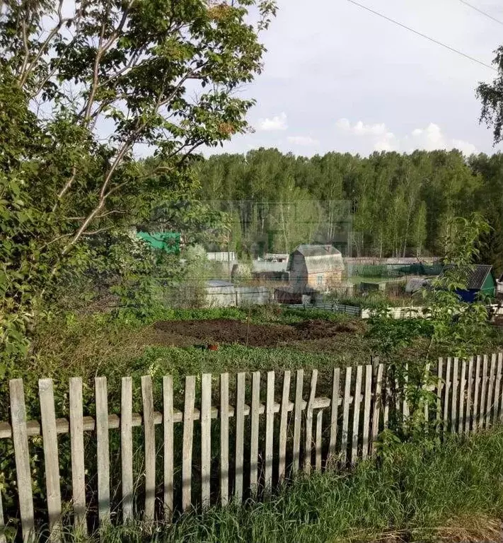 Купить Дачу В Бердске Снт Запрудный