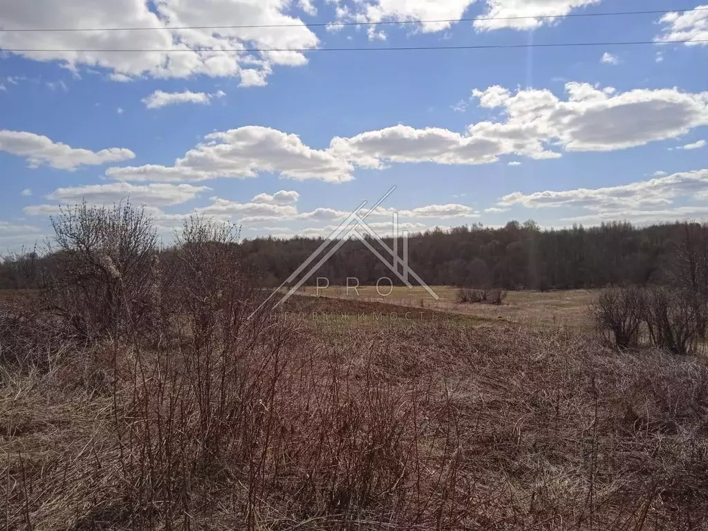 Участок в Ярославская область, Гаврилов-Ямский муниципальный округ, ... - Фото 2
