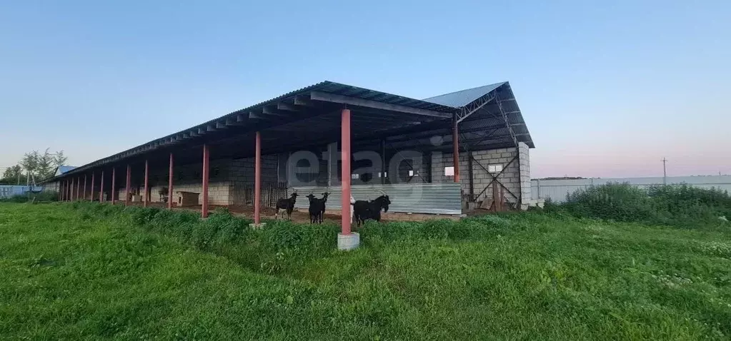 Помещение свободного назначения в Калужская область, пос. Бабынино ул. ... - Фото 1