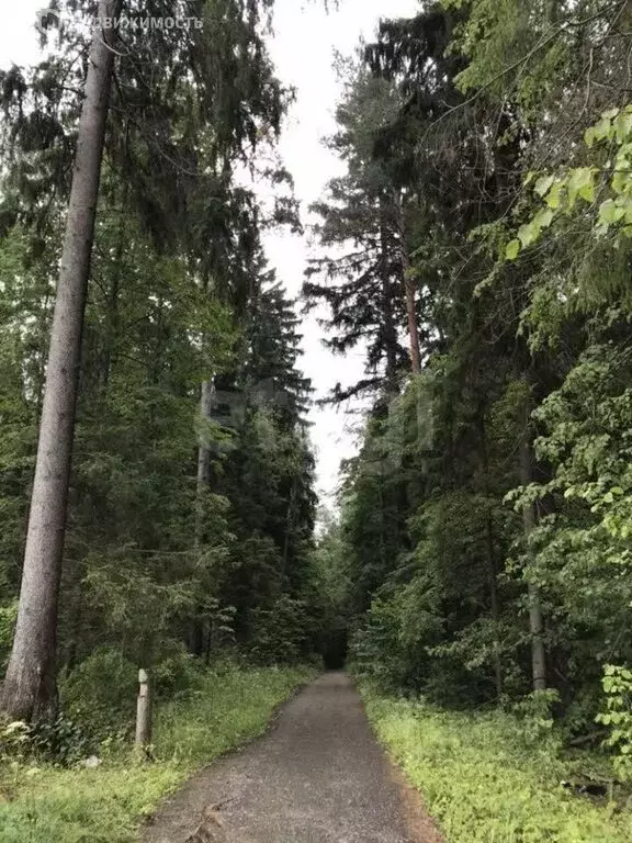 Участок в Московская область, городской округ Ступино, деревня ... - Фото 1