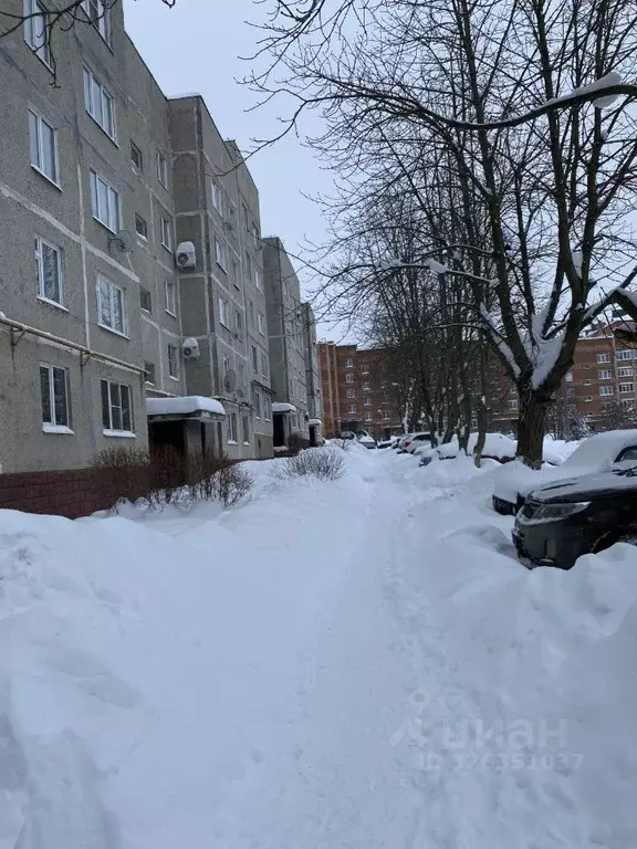 1-к кв. Московская область, Кашира Центральная ул., 19 (34.5 м) - Фото 2