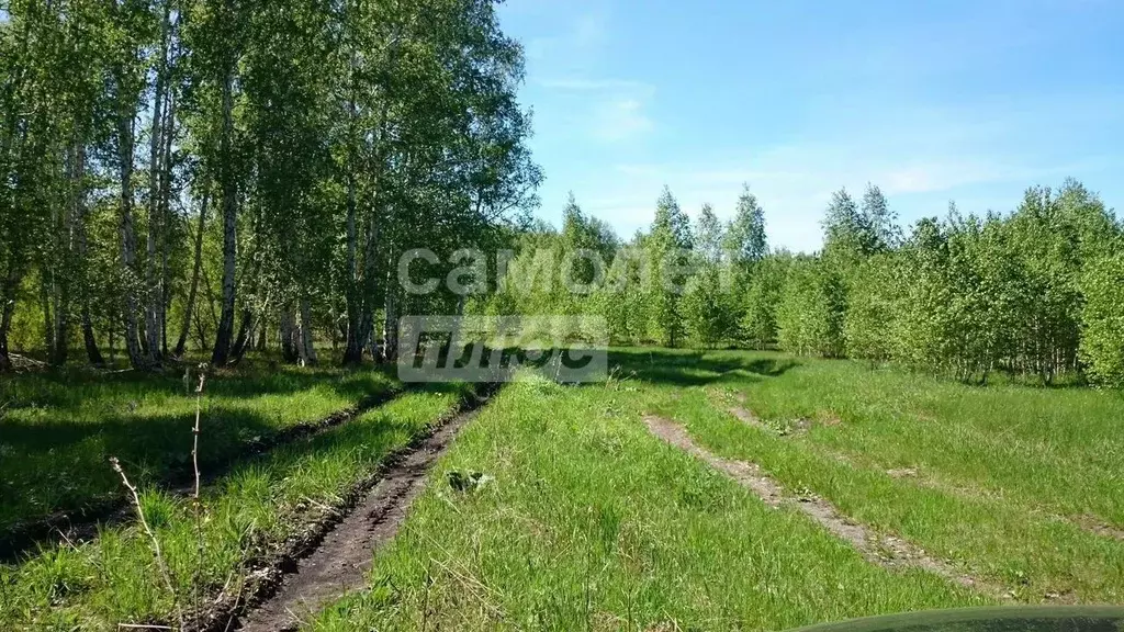 Участок в Челябинская область, Сосновский район, Кременкульское с/пос, ... - Фото 0