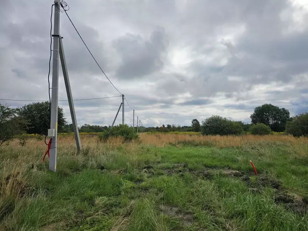 Участок в Калининградская область, Гурьевский муниципальный округ, ... - Фото 1