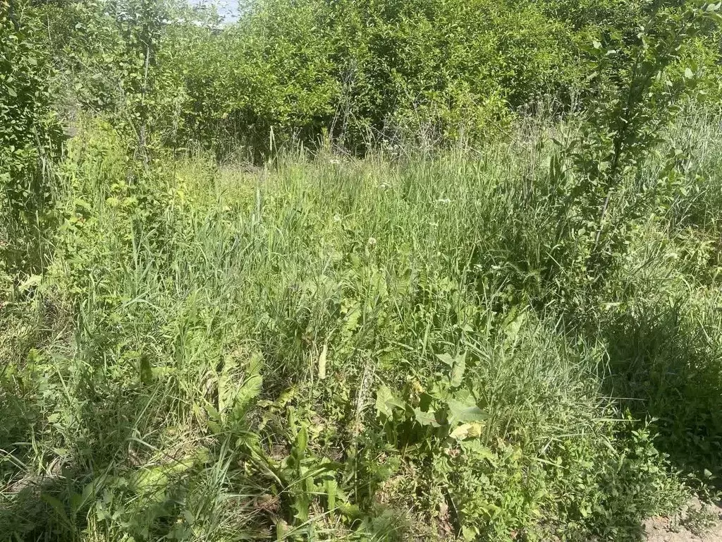 Участок в Белгородская область, Белгородский район, Северный городское ... - Фото 2