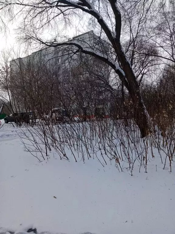 1к в 2-комнатной квартире (17 м) - Фото 1