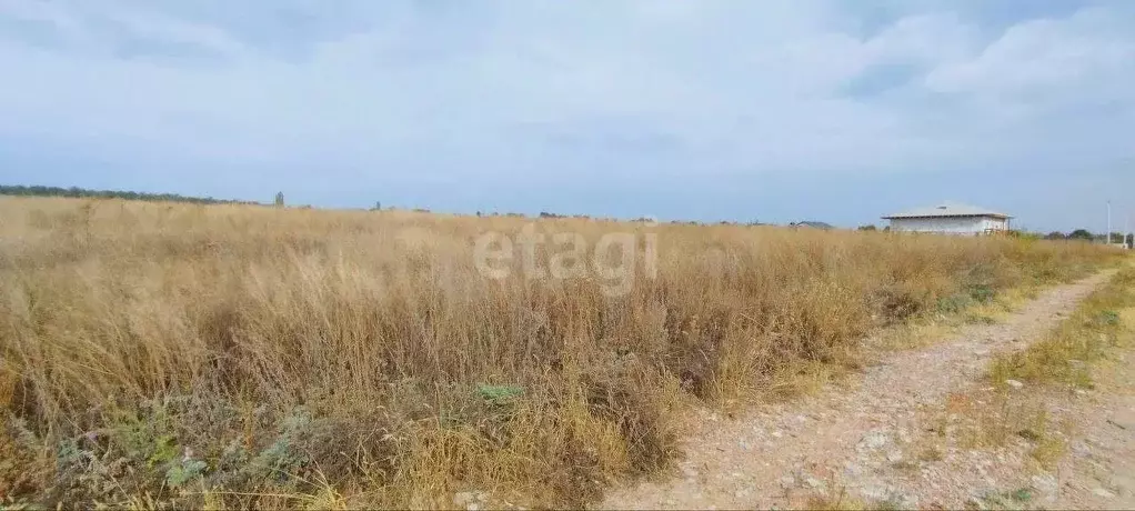 Участок в Воронежская область, Семилукский район, с. Девица ул. ... - Фото 1