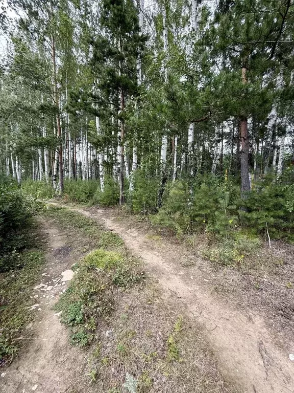 Участок в Свердловская область, Полевской ул. Блюхера (14.0 сот.) - Фото 1