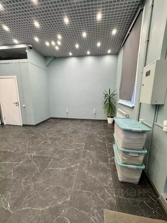 Помещение свободного назначения в Москва аллея Первой Маевки, 15с4 (31 ... - Фото 2