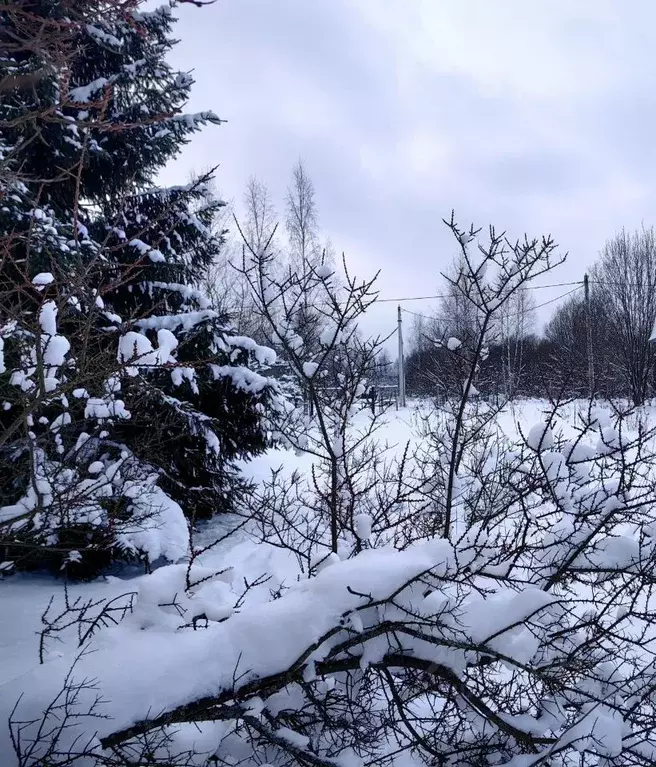 Участок в Владимирская область, Киржачский муниципальный округ, д. ... - Фото 2