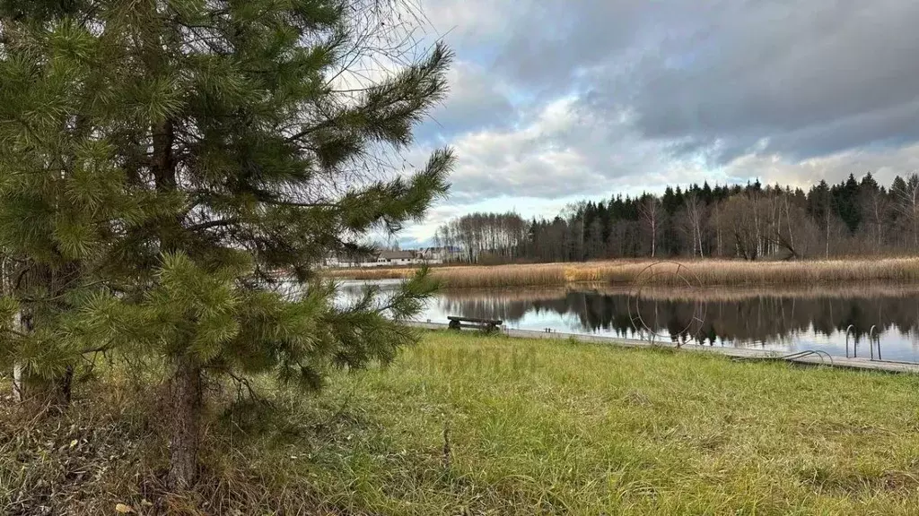 Участок в Тверская область, Конаковский муниципальный округ, Ремонтник ... - Фото 1